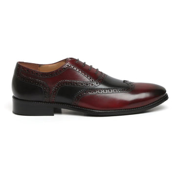 Dual Tone Formal Shoe in Wine Black Brogue Oxford Lace-Up Closure